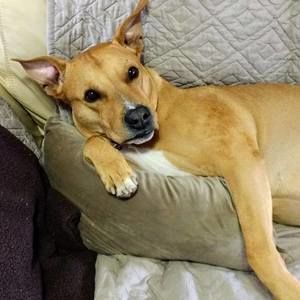 Meet your Posher, Debra